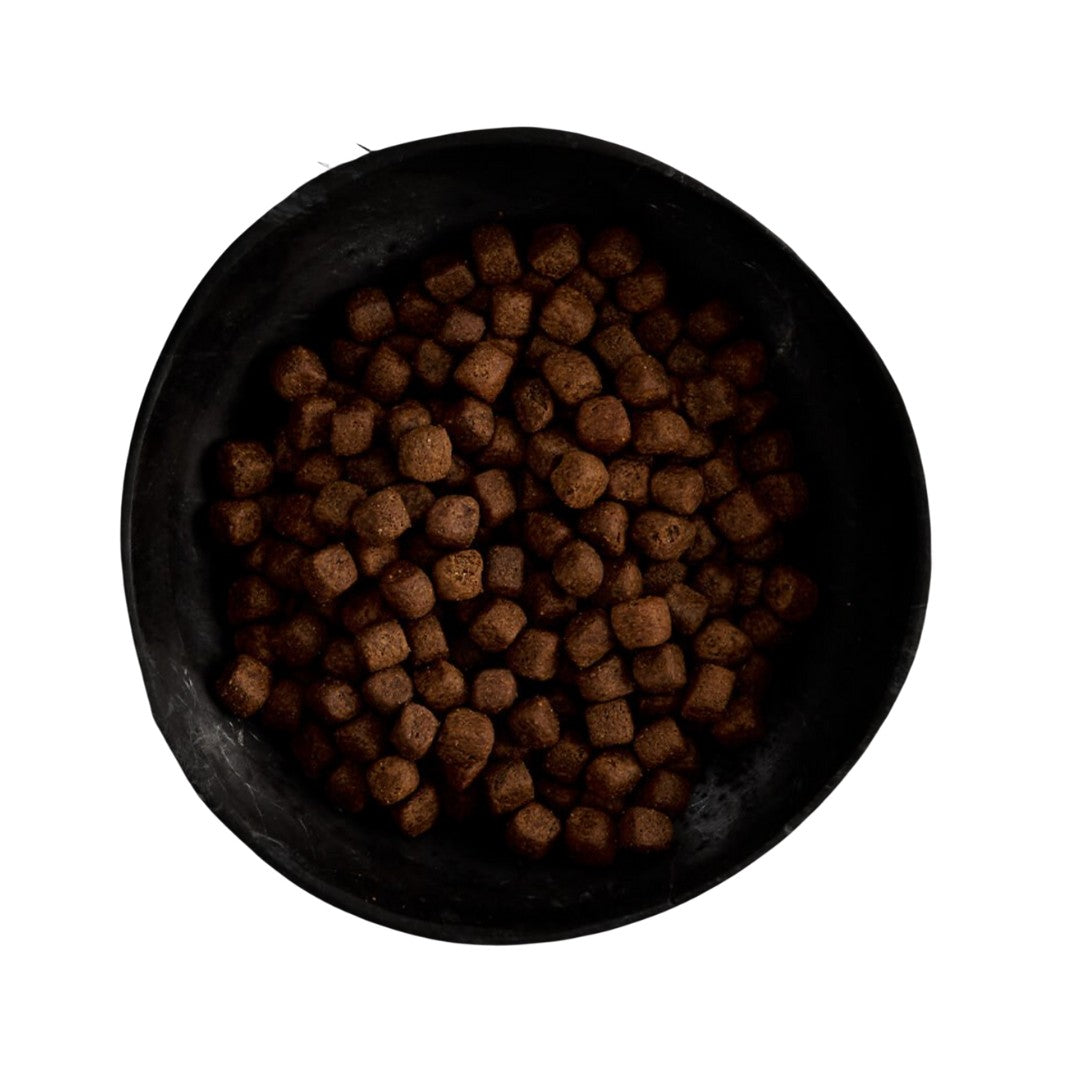Canagan Free Run Turkey Dental Dog Dry Food - Kibble Size