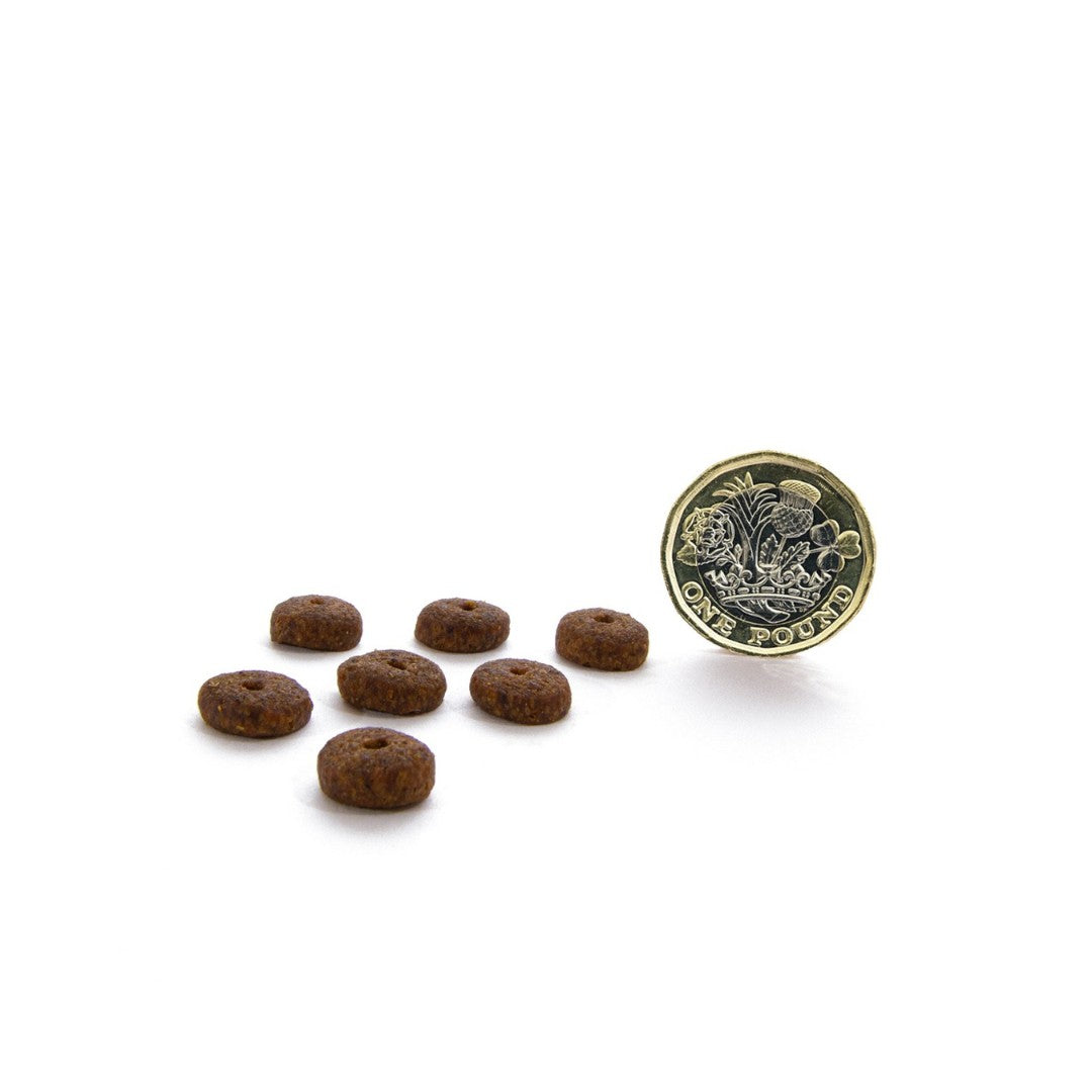 Canagan Turkey Dental Small Breed Dog Dry Food - Kibble Size