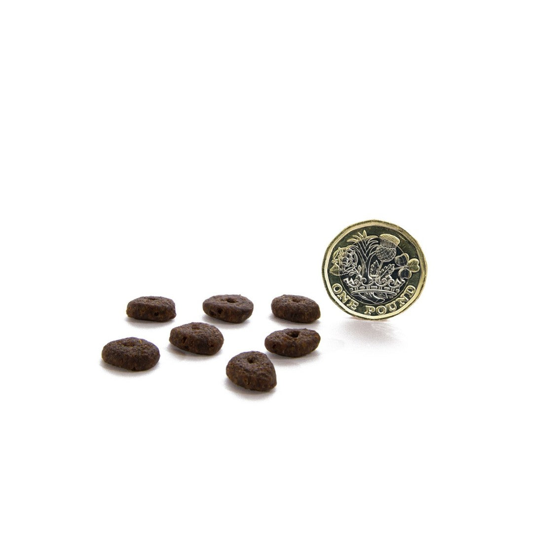 Canagan Scottish Salmon Small Breed Dog Dry Food - Kibbles Size