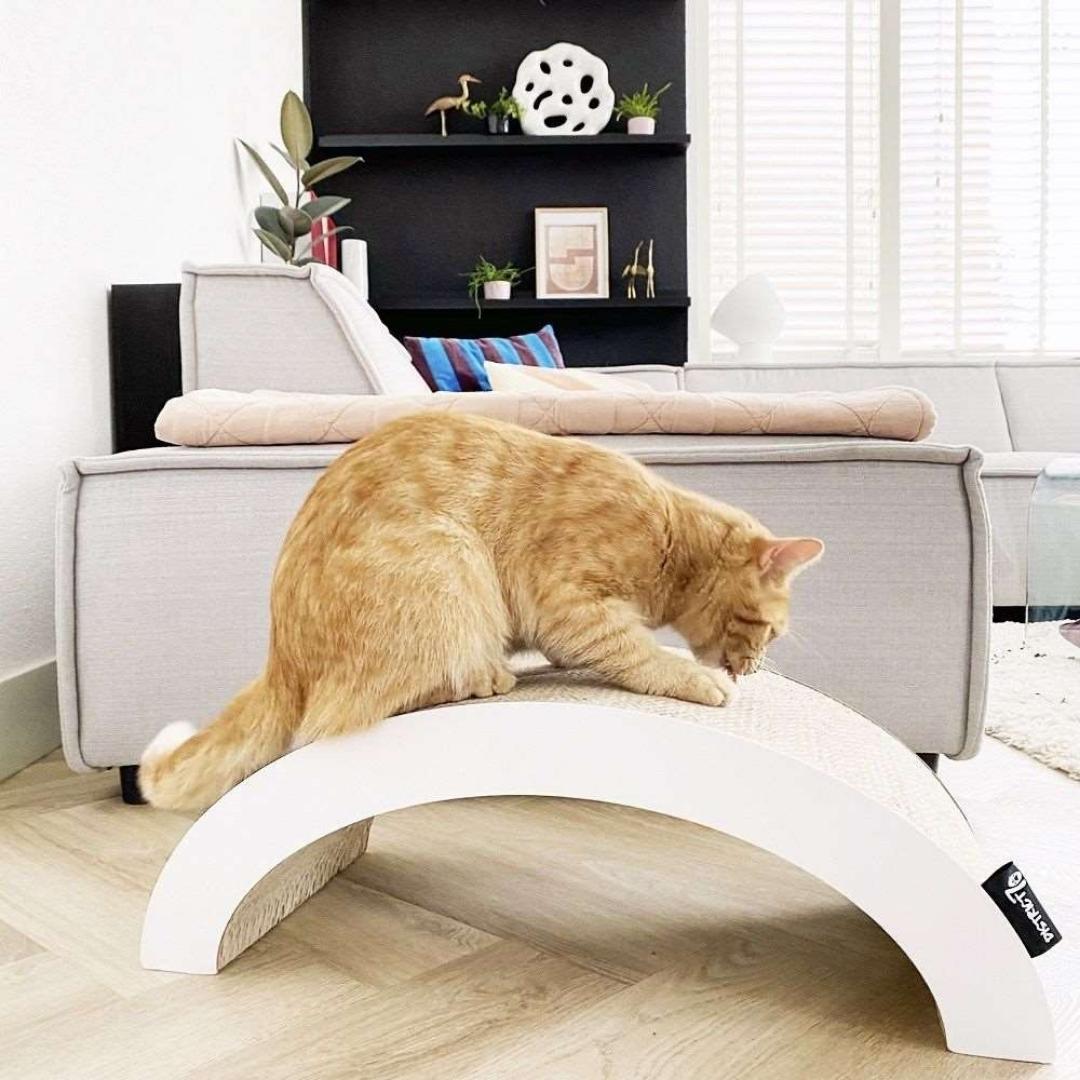 District 70 Arch Cardboard Cat Scratcher - Eco-Friendly Design for Cats in Dubai - AD