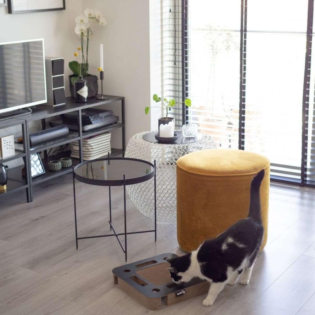 District 70 Spy Cardboard Cat Scratcher Toy - Engaging and Interactive Toy for Cats in Dubai - AD