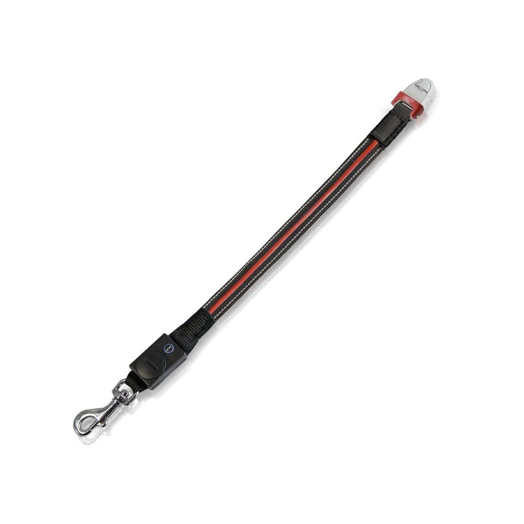 Flexi Vario LED Flash Belt