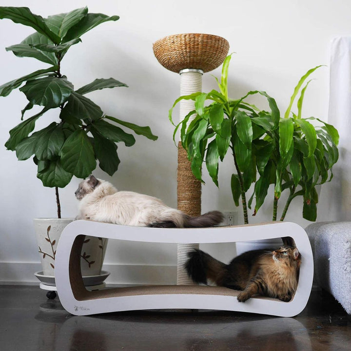 PetFusion Jumbo Serves double duty as both a cat scratcher and cat lounge that promises to keep your finicky companions coming back for more!