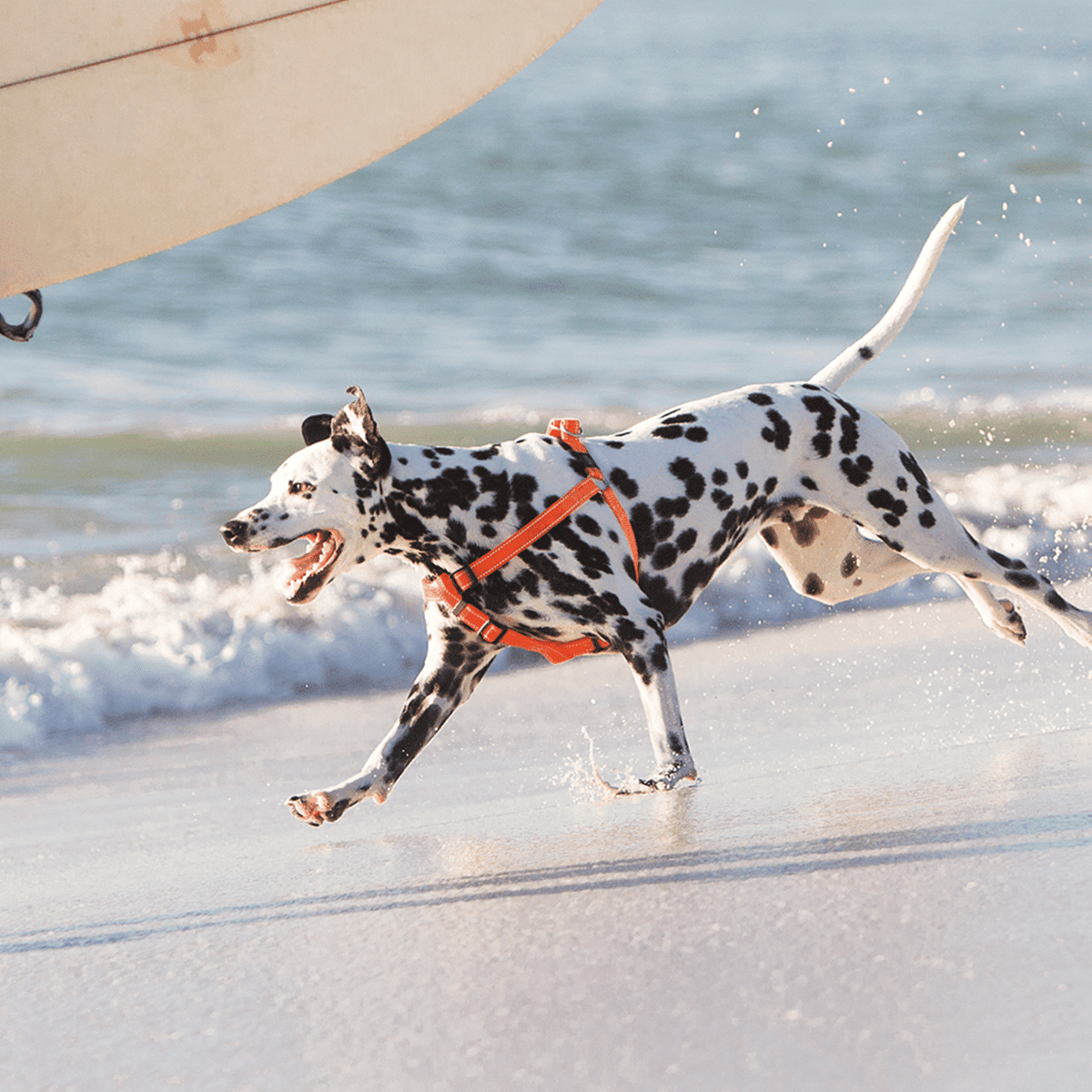 Rogz Utility Step In Dog Harness