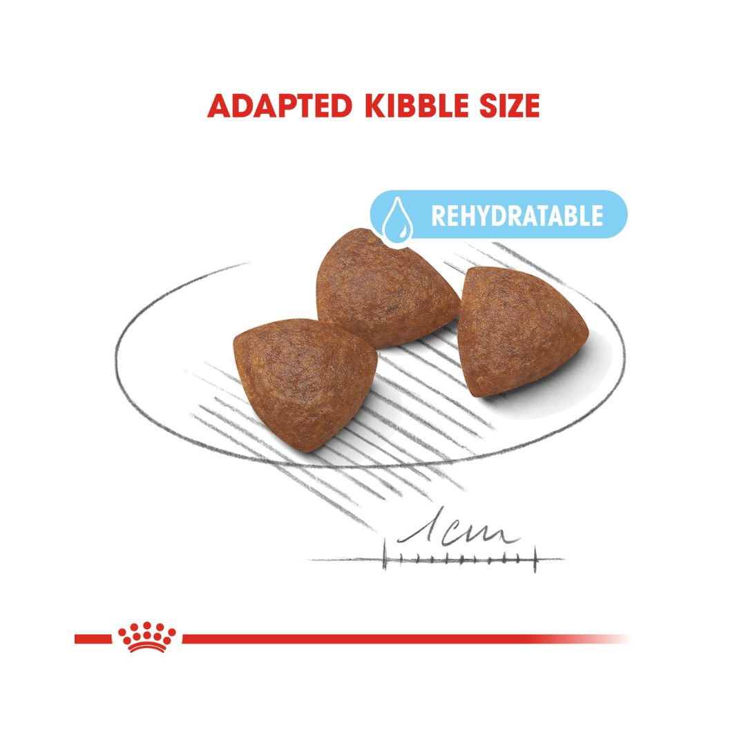 Royal Canin Medium Starter Mother and Babydog Dry Dog Food - Kibble Size