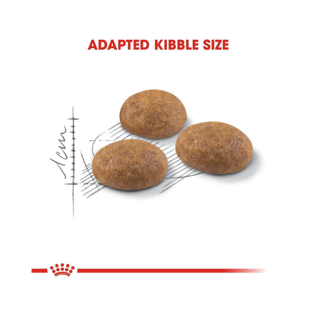 Royal Canin Active Life Outdoor Dry Cat Food - 2kg pack - Kibble Size