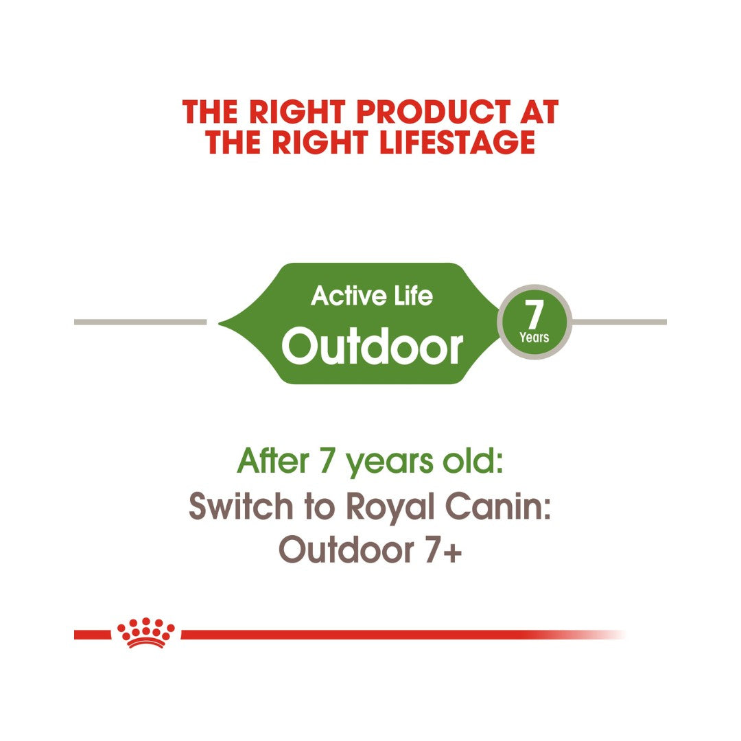 Royal Canin Active Life Outdoor Dry Cat Food - 2kg pack - Age and size