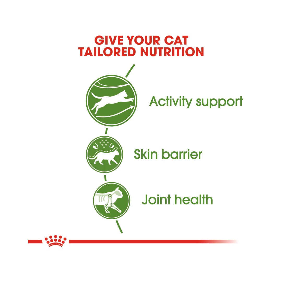 Royal Canin Active Life Outdoor Dry Cat Food - 2kg pack - Food benefits