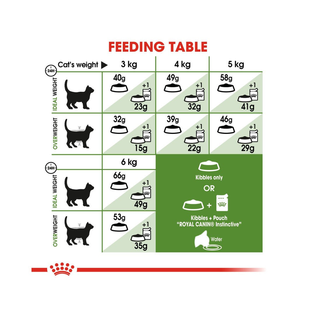 Royal Canin Active Life Outdoor Dry Cat Food - 2kg pack - Feeding Guide