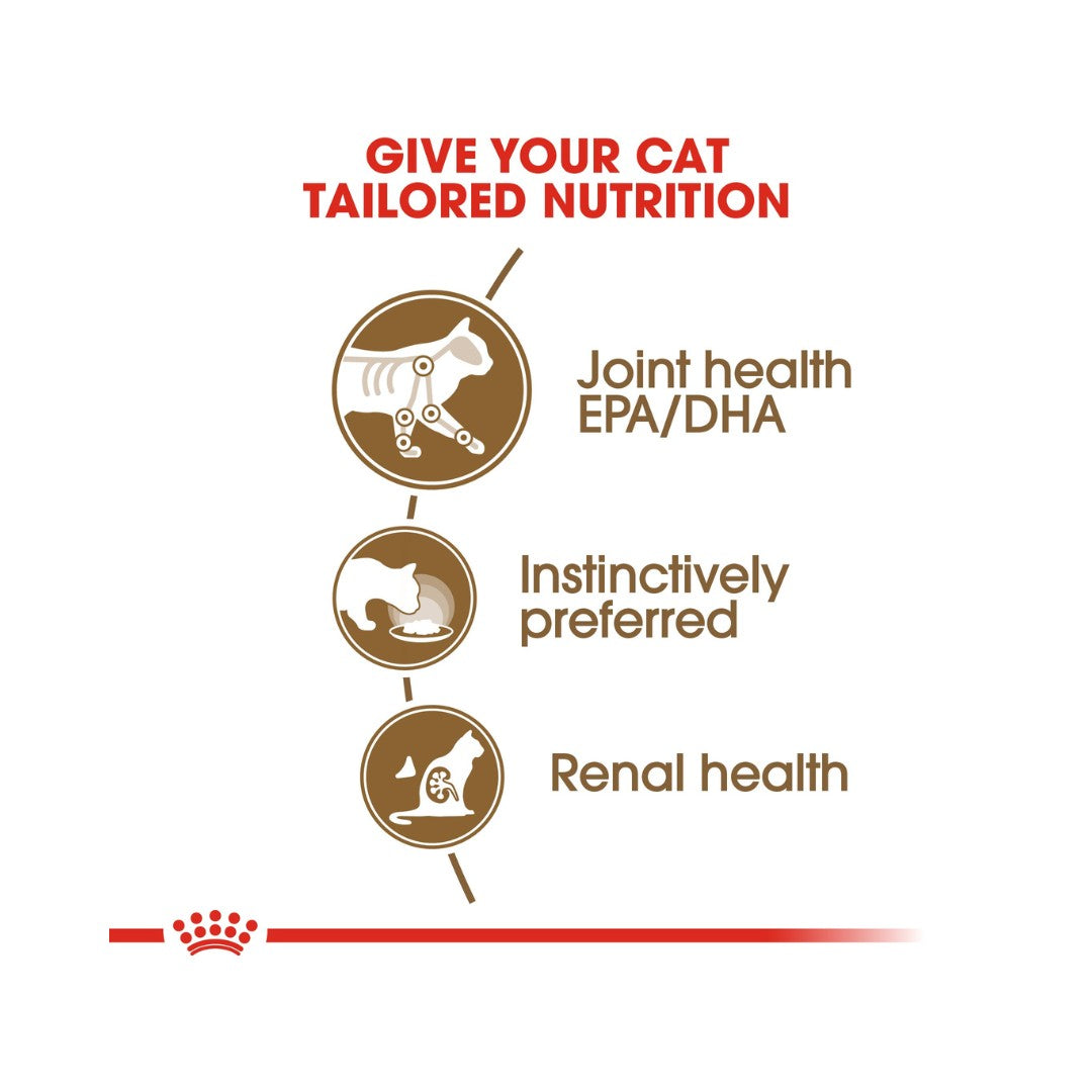 Royal Canin Ageing 12+ in Jelly Wet Cat Food Benefits