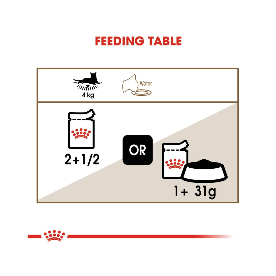 Royal Canin Ageing 12+ in Jelly Wet Cat Food - Feeding Guide