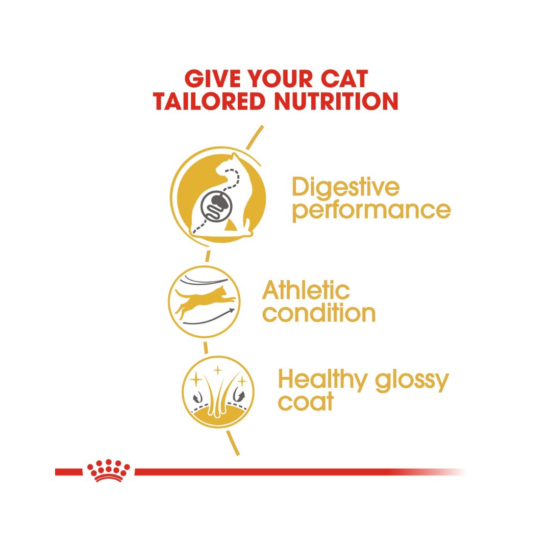 Royal Canin Bengal Adult Cat Dry Food - 2kg pack. Foo benefits
