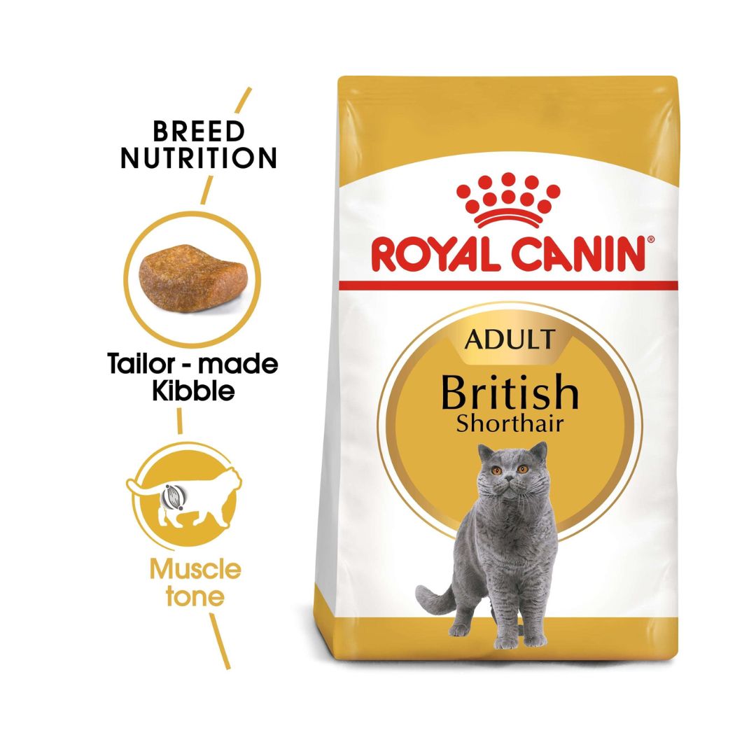 Royal Canin British Shorthair Adult Cat Dry Food - 4kg pack- Feed Nutritions