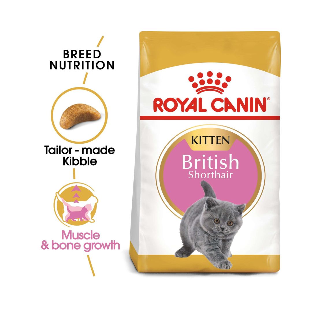 Royal Canin British Shorthair Kitten Dry Food - 2kg pack - Food nutritions