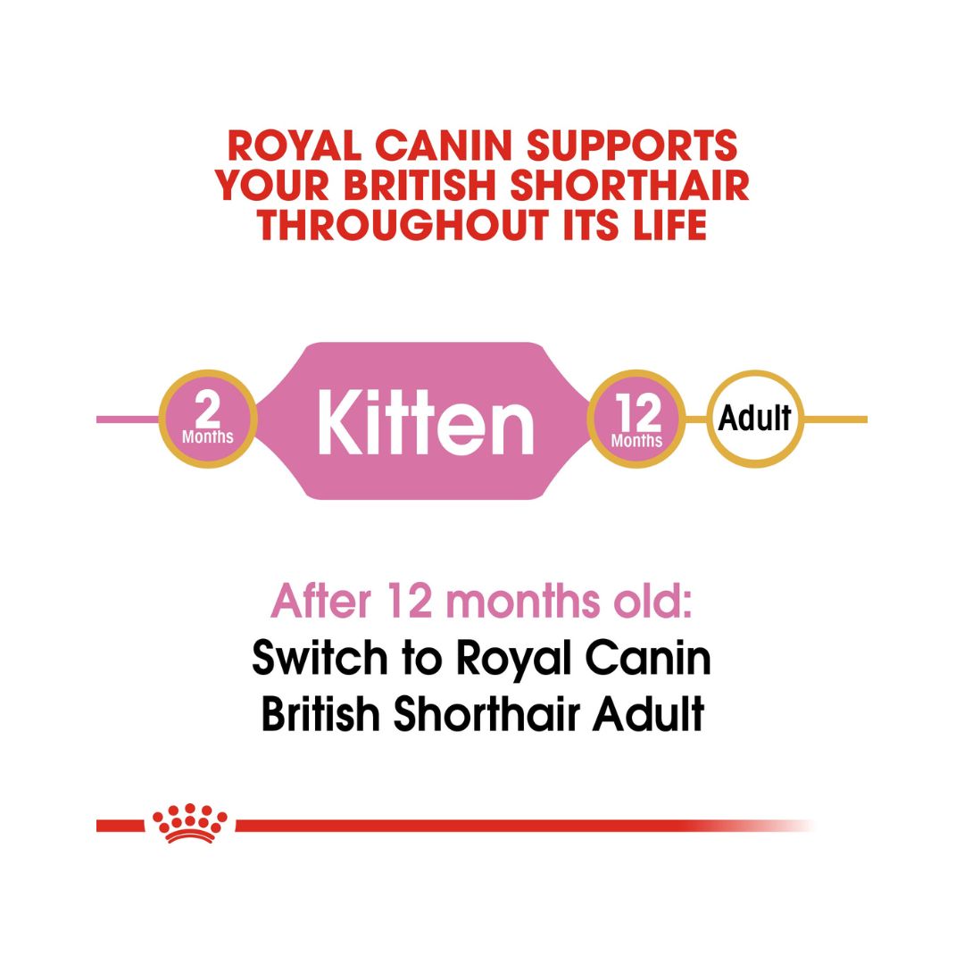 Royal Canin British Shorthair Kitten Dry Food - 2kg pack.age and size