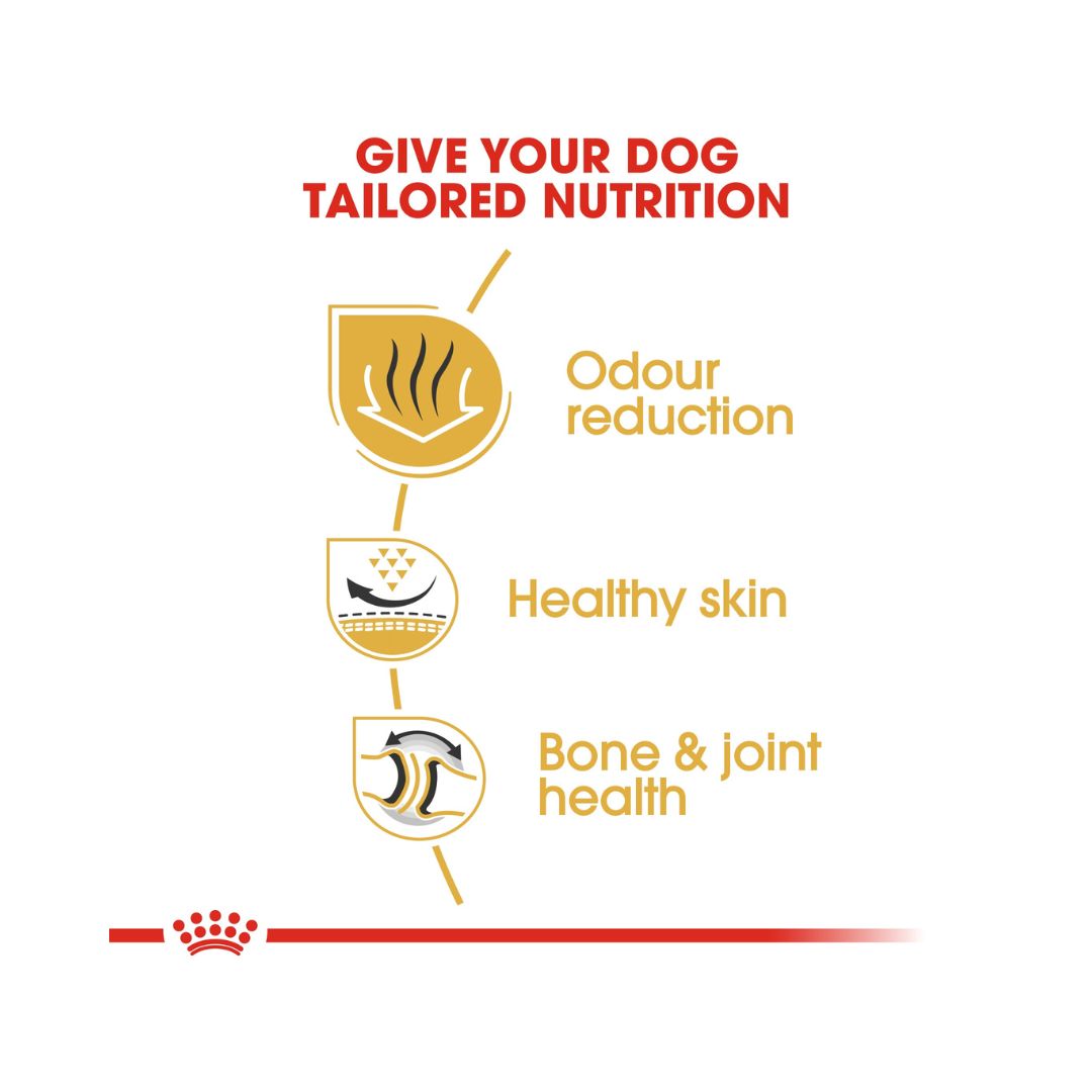 Royal Canin Bulldog Adult Dog Dry Food, 12kg bag.