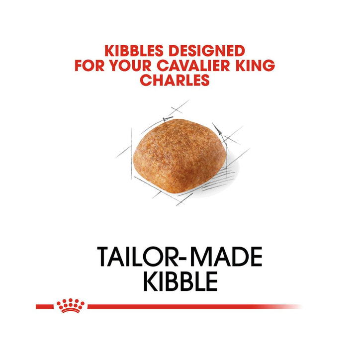 Royal Canin Cavalier King Charles Adult Dog Dry Food, 1.5kg bag Kibble Size.