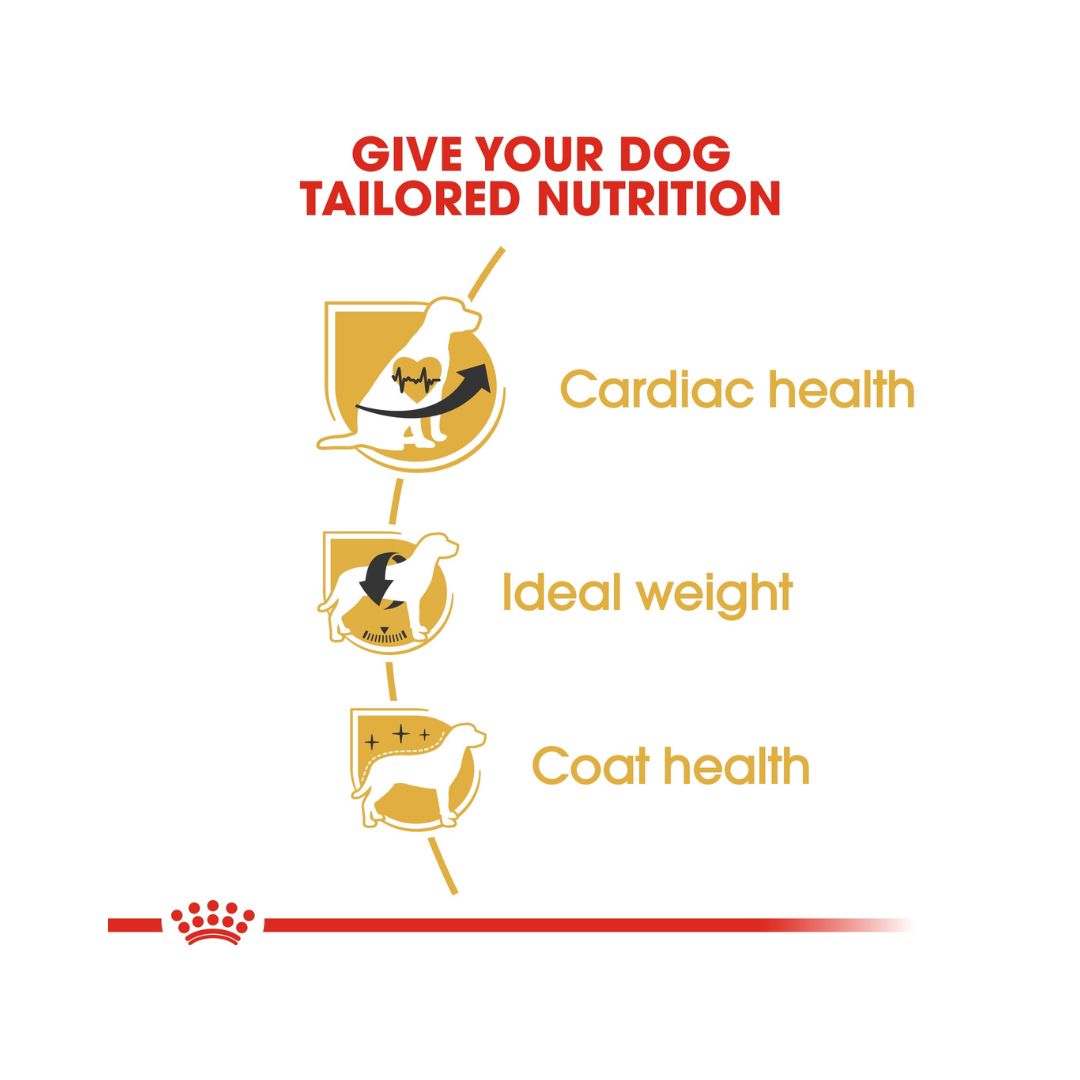 Royal Canin Cavalier King Charles Adult Dog Dry Food, 1.5kg bag - Benefits.