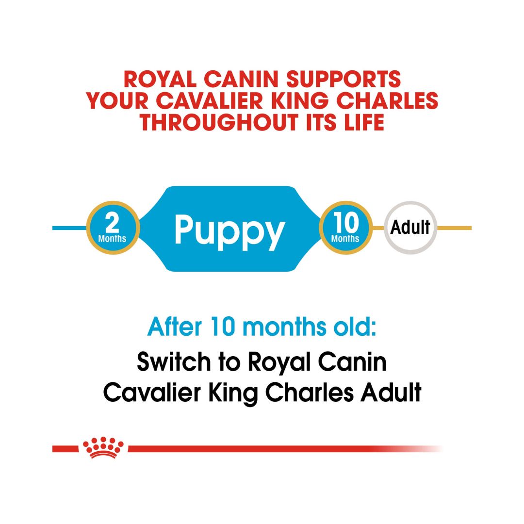 Royal Canin Cavalier King Charles Puppy Dry Food, 1.5kg bag instructions.