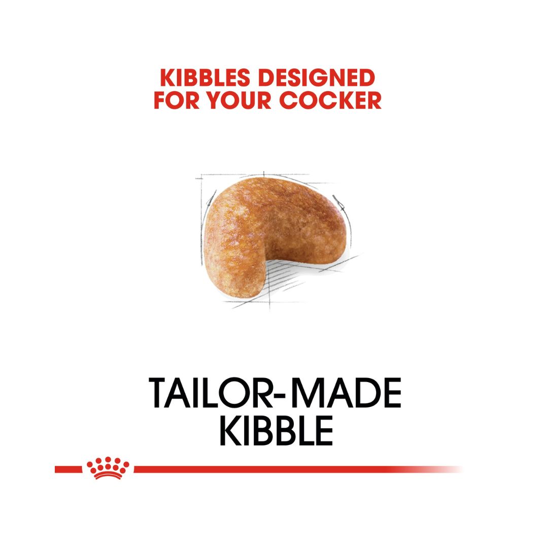 Royal Canin Cocker Spaniel Adult Dog Dry Food, 3kg pack - Kibble Size.