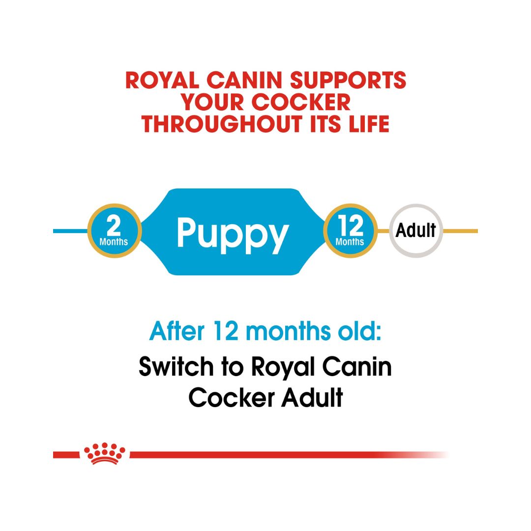 Royal Canin Cocker Spaniel Puppy Dry Food, 3kg pack - Age.
