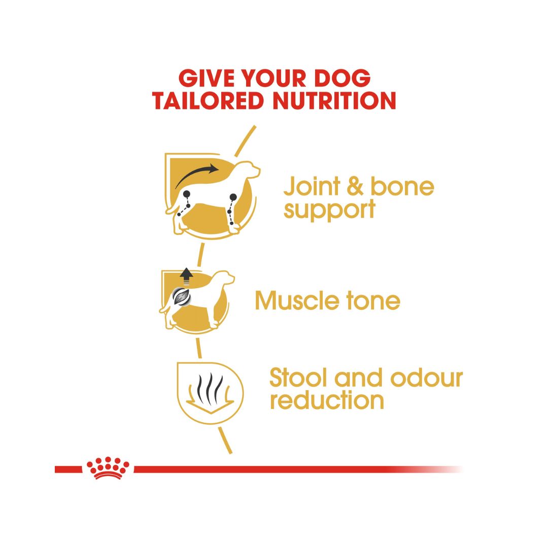 Royal Canin Dachshund Adult Dry Food, 1.5kg pack. Benefits.\
