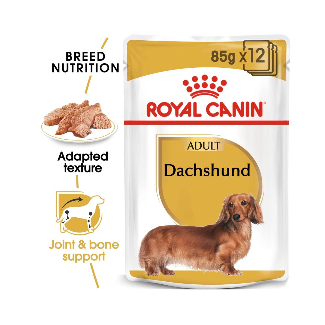 Royal Canin Dachshund Adult Dog Wet Food - Pouch Front with food Nutrition