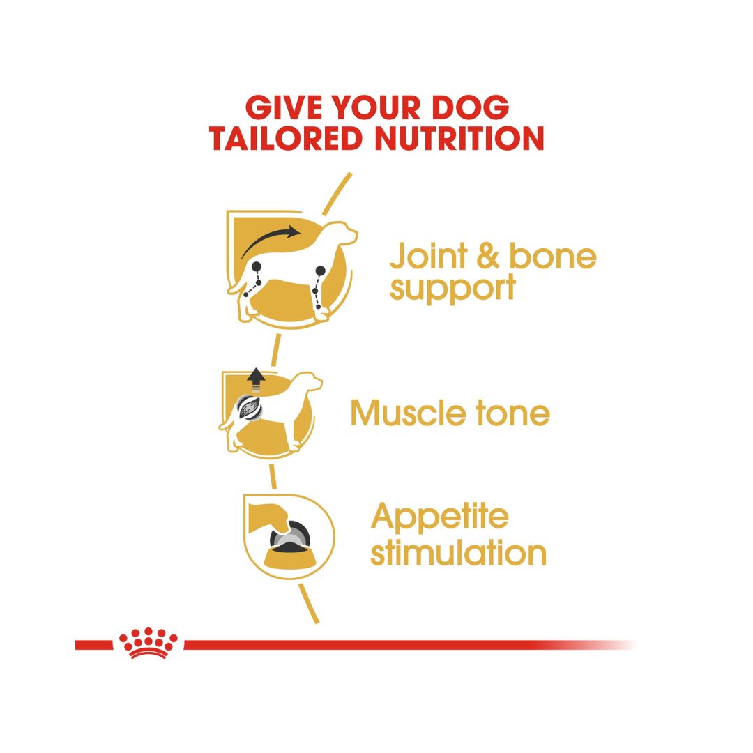 Royal Canin Dachshund Adult Dog Wet Food - Food Benefits