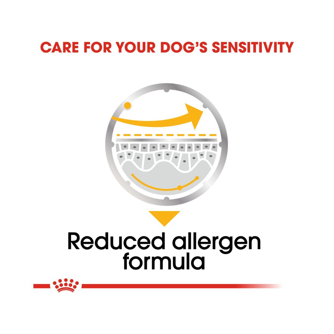 Royal Canin Dermacomfort Dog Wet Food - Wet food for adult dogs with sensitive skin. - Food Benefits