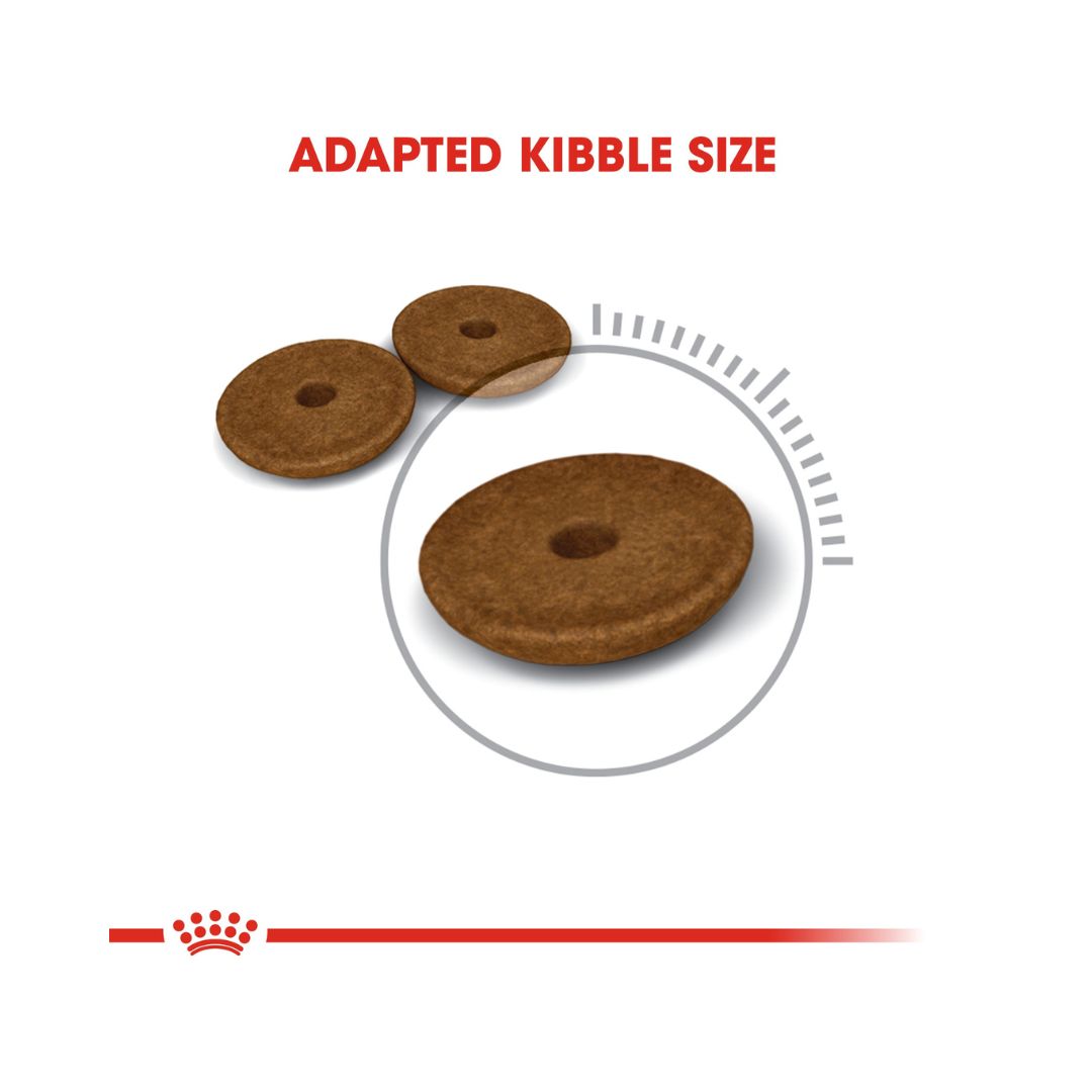 Royal Canin Digestive Care Adult Dry Cat Food - 2kg pack - Kibble Size