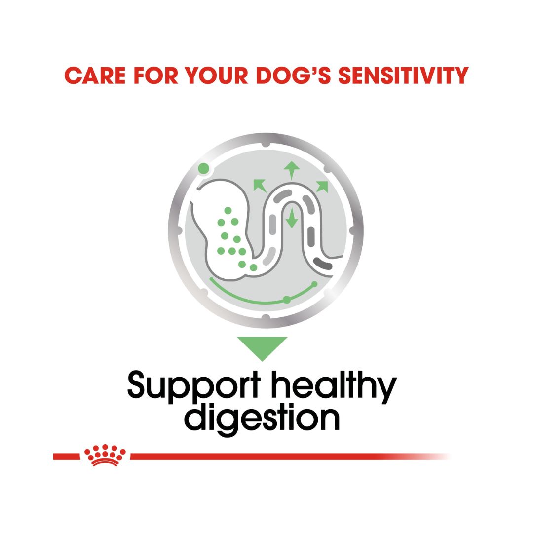 Royal Canin Digestive Care Dog Wet Food - Wet food for adult dogs with digestive sensitivity - Food benefits