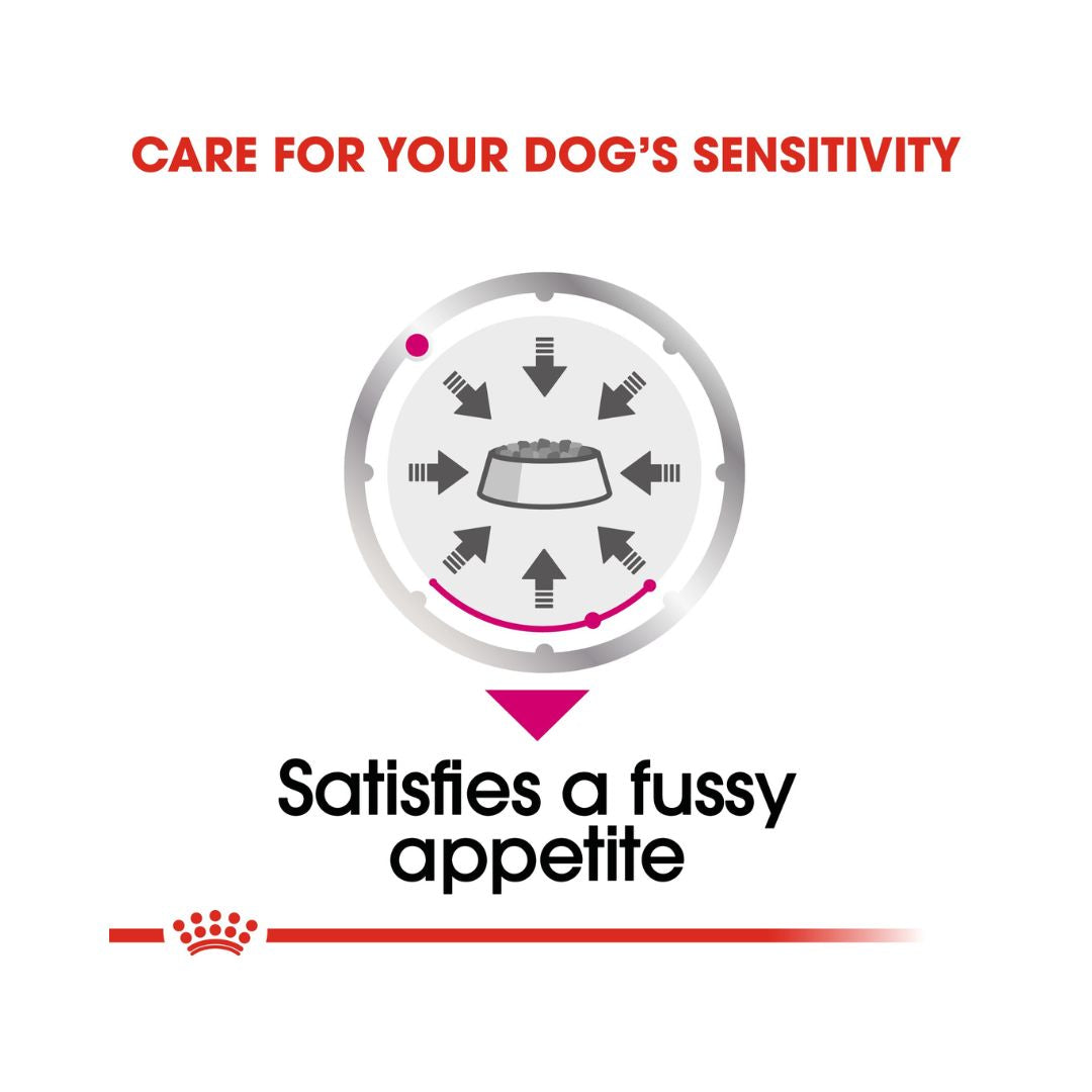Royal Canin Exigent Dog Wet Food - Wet food for adult dogs with refined palates - Food benefits
