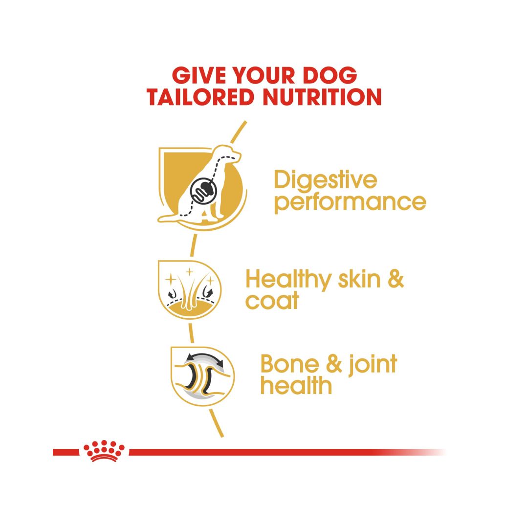 Royal Canin German Shepherd Adult Dog Dry Food Front Bag. - Benefits.