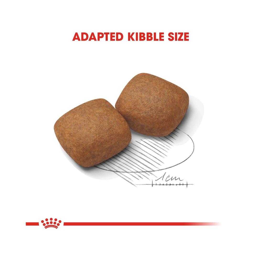 Royal Canin Giant Junior Dog Dry Food - Kibble Size