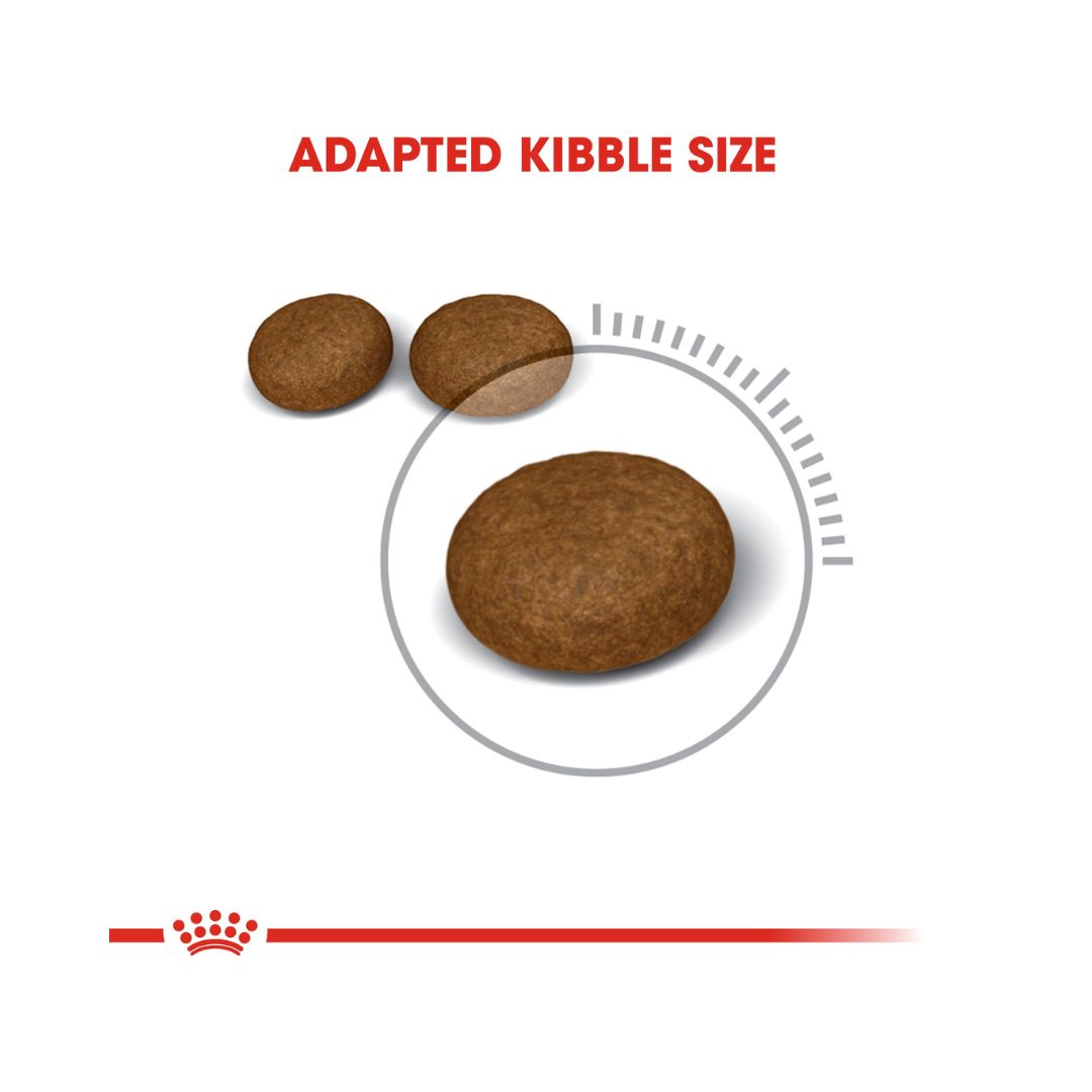 Royal Canin Hair & Skin Dry Cat Food - Kibble Size