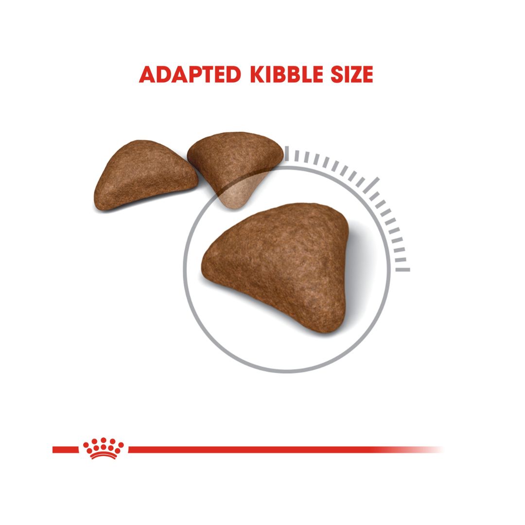 Royal Canin Hairball Care Adult Dry Cat Food - Kibble Size