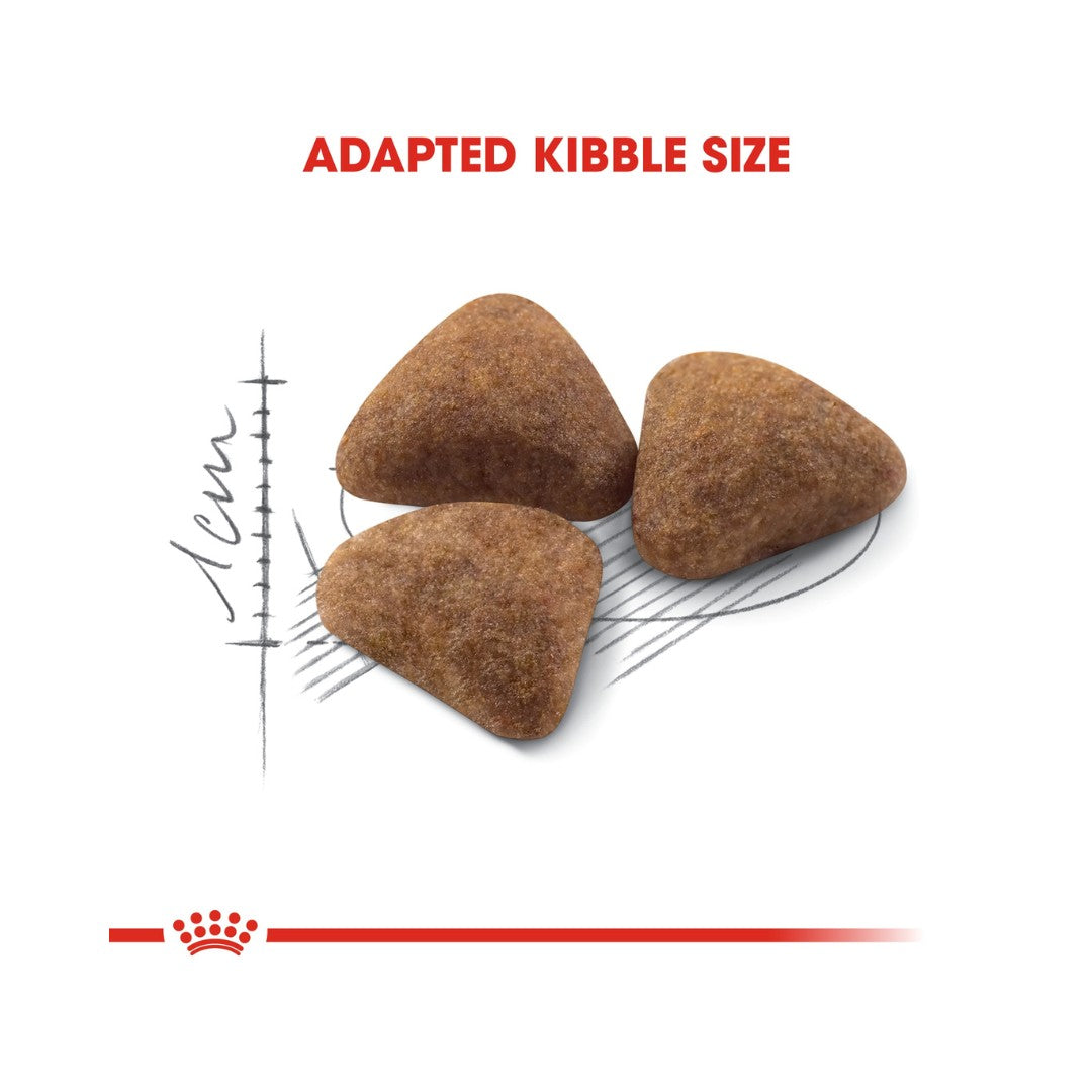 Royal Canin Home Life Indoor 27 Dry Cat Food - Kibble Size