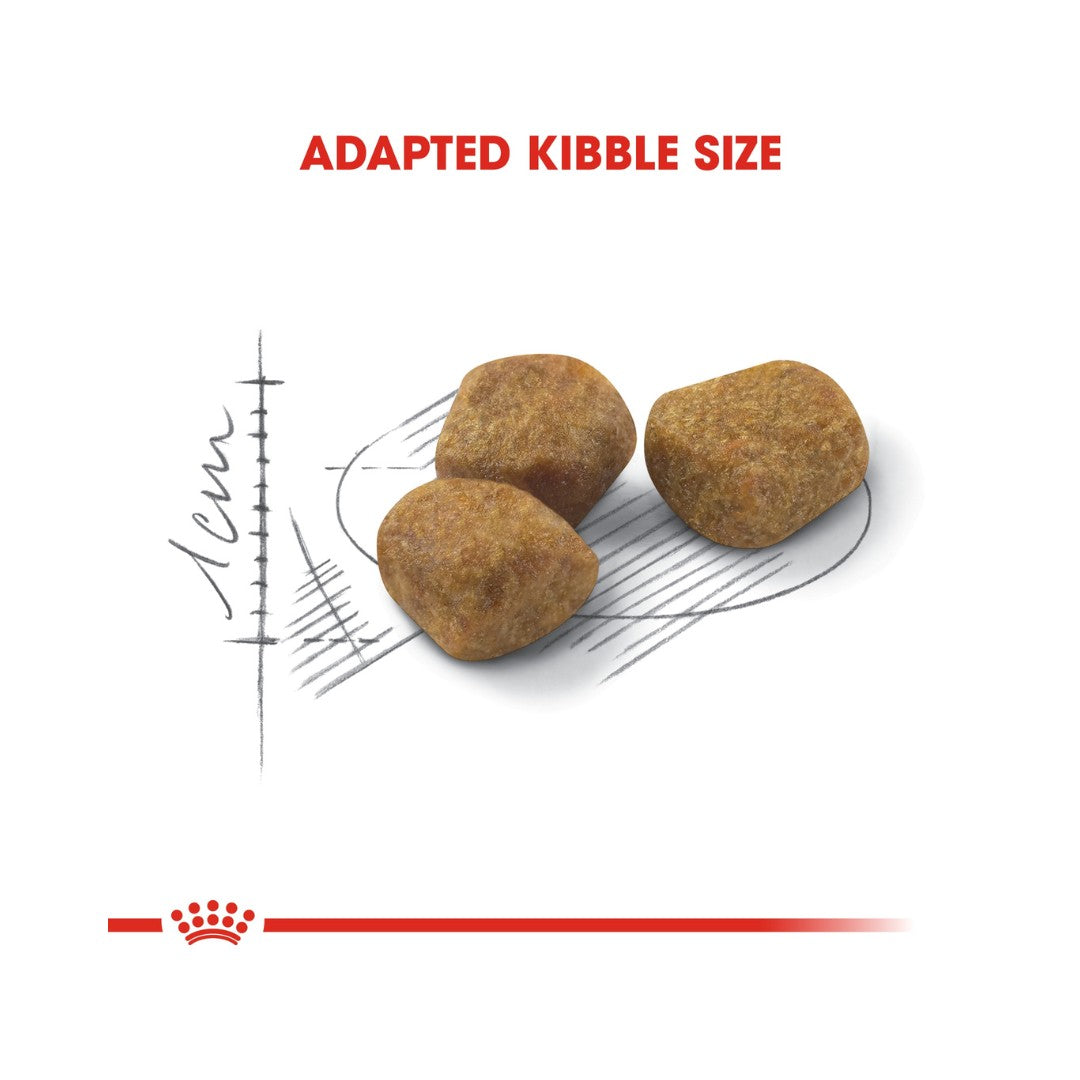 Royal Canin Home Life Indoor 7+ Dry Cat Food Balanced and complete feed for cats - Especially for mature cats aged 7 or over living indoors 3.