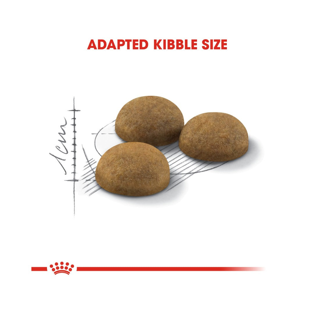 Royal Canin Indoor Long Hair Dry Cat Food - kibble Size