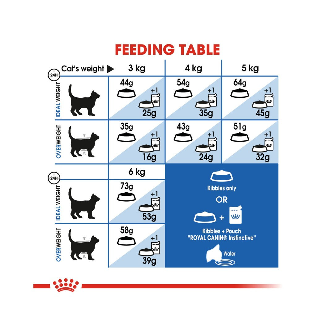 Royal Canin Indoor Long Hair Dry Cat Food - Feeding Guide