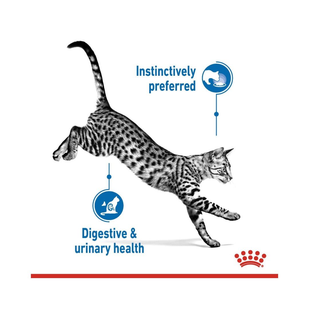 Royal Canin Indoor Sterilised Jelly Cat Wet Food benefits
