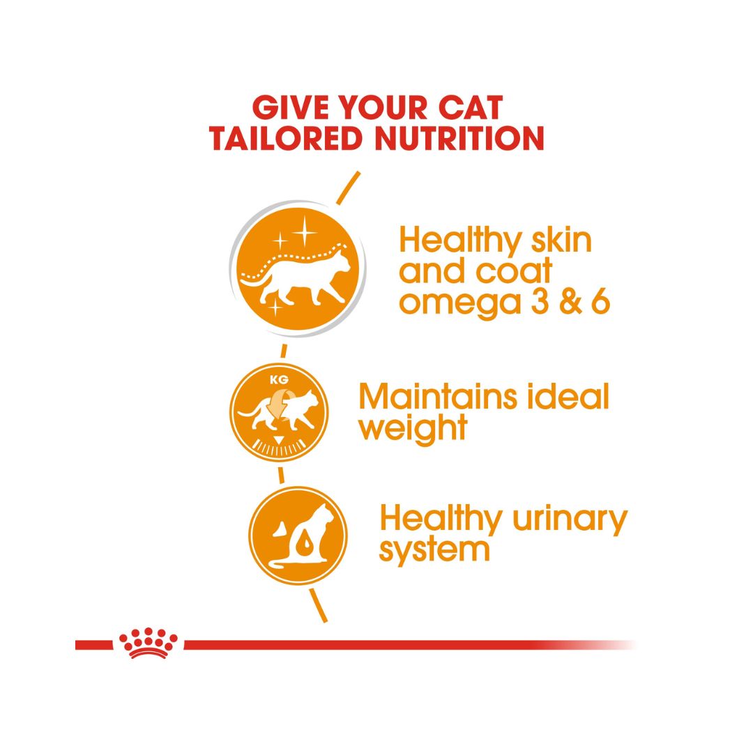 Royal Canin Hair & Skin Care in Jelly Wet Cat Food: Supports healthy skin and coat. Food Benefits