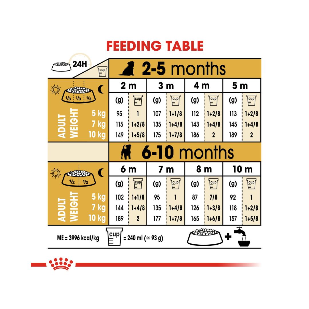 Royal Canin Jack Russell Puppy Dry Food - Feeding Guide