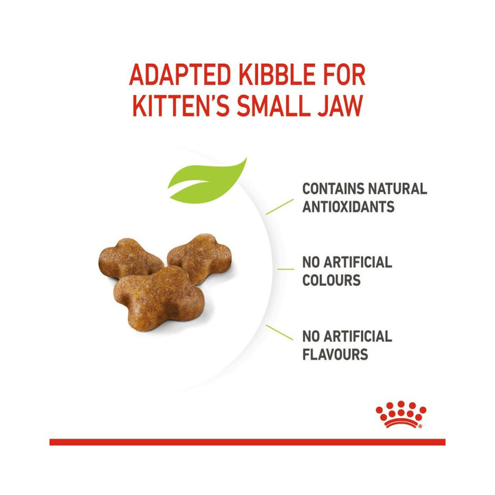 Royal Canin Kitten Dry Food - Kibble Size 