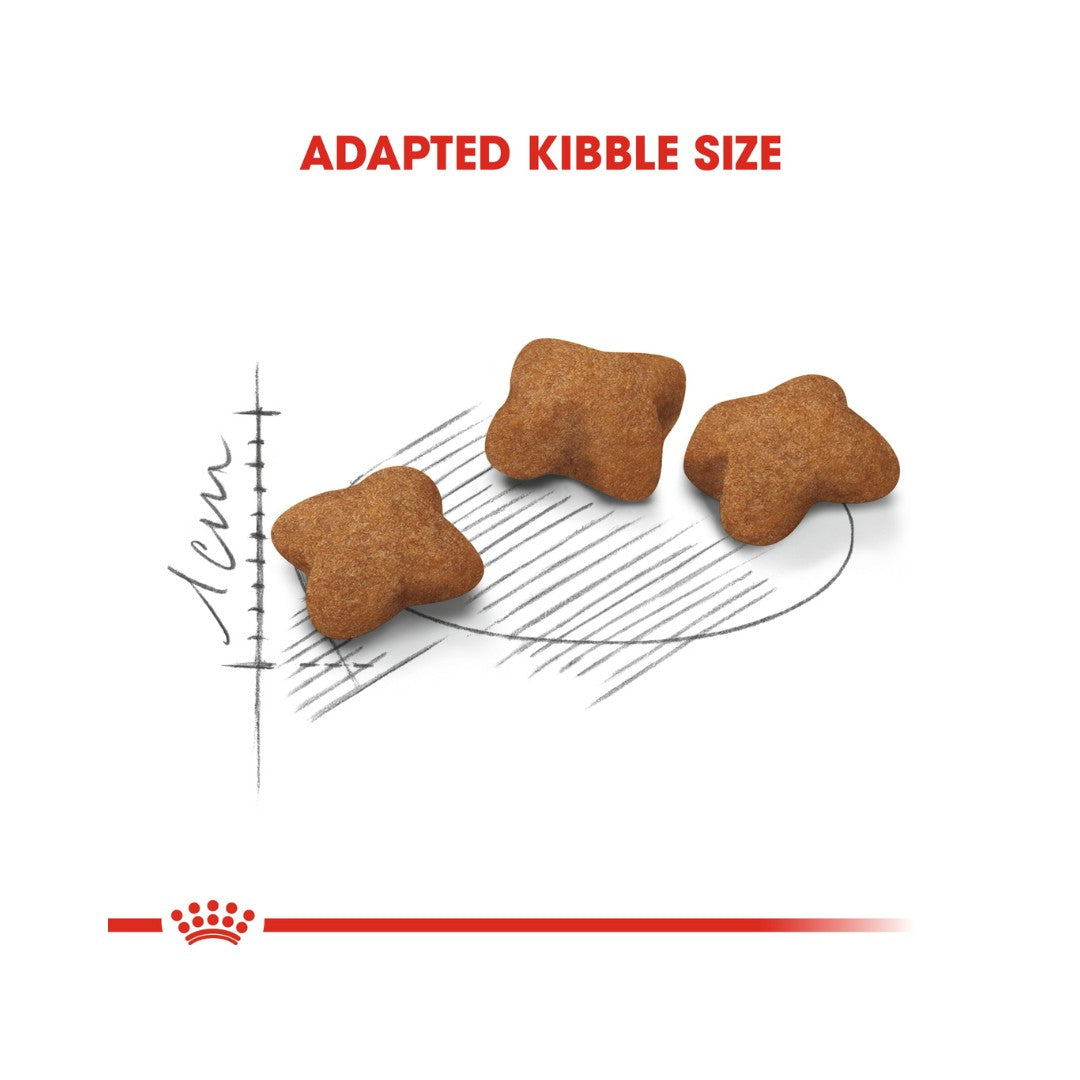 Royal Canin Kitten Sterilised Dry Food - Kibble Size