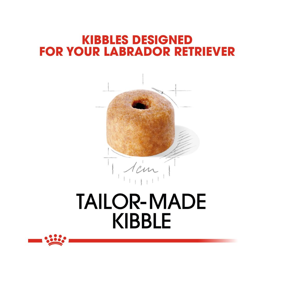 Royal Canin Labrador Retriever Puppy Dry Food - Kibble Size