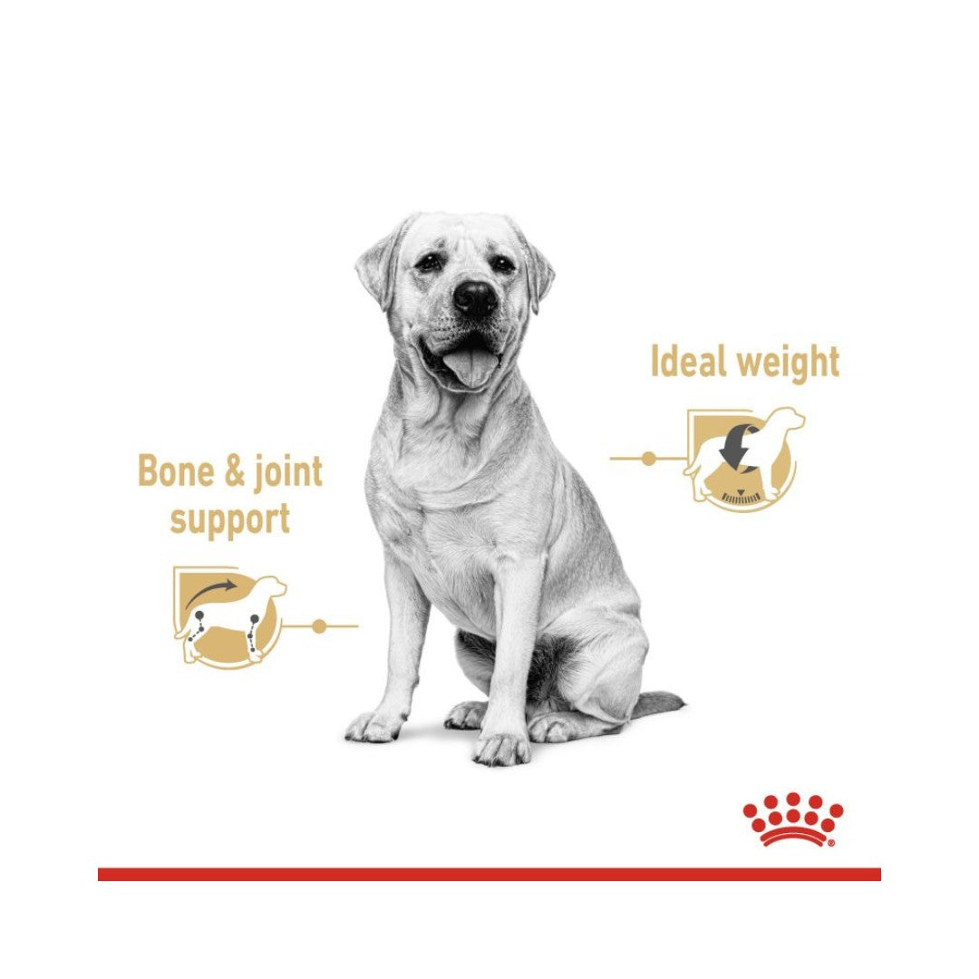 Royal Canin Labrador Retriever Gravy Dog Wet Food - Wet food chunks in gravy for adult and mature Labradors. Food benefits