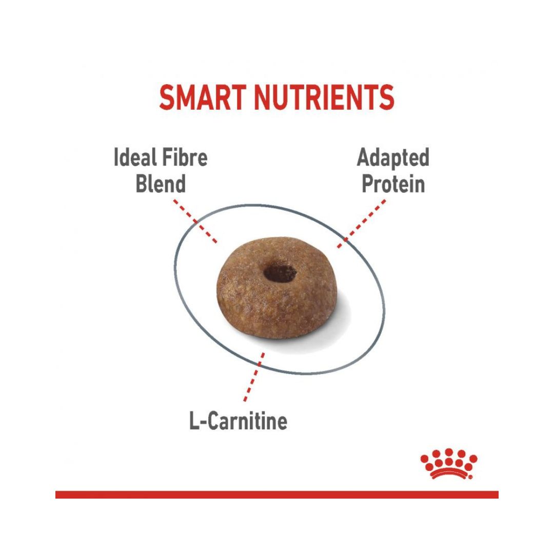 Royal Canin Light Weight Care Adult Dry Cat Food - Precise nutrition for weight management and overall health, Kibble Size