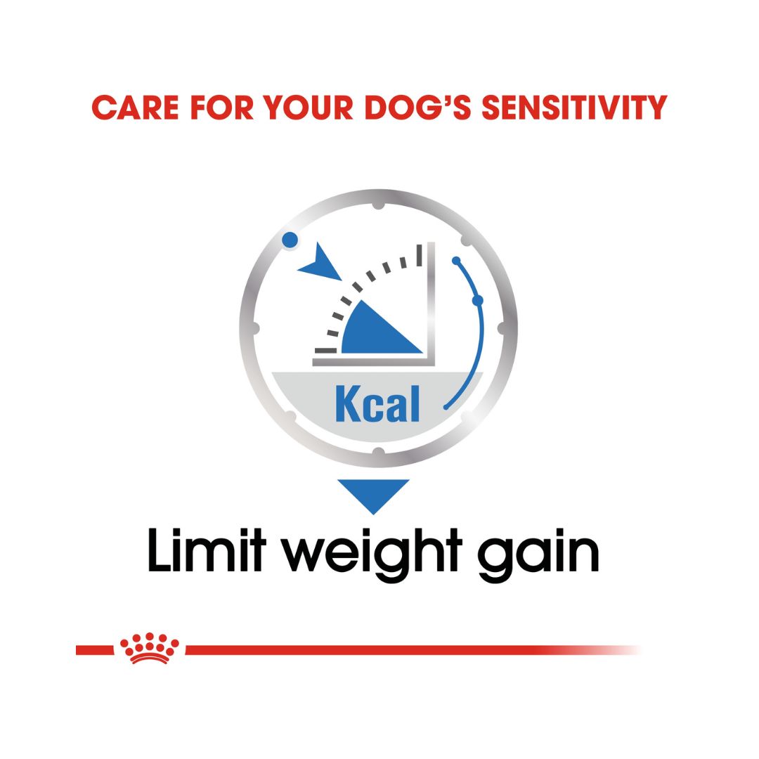 Royal Canin Light Weight Care Dog Wet Food - Wet food for adult dogs with weight management needs. Food benefits