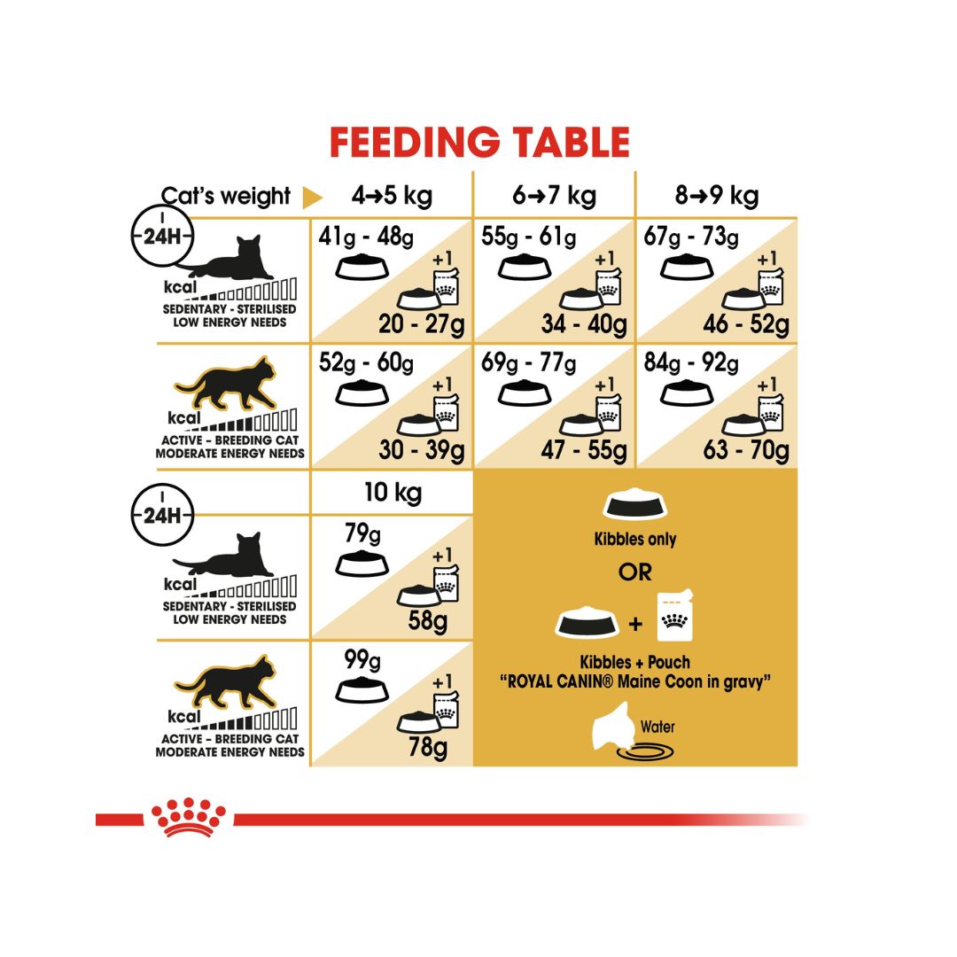 Royal Canin Maine Coon adult cat dry food for adult Maine Coon cats over 15 months old is specially formulated with the needs of this particular breed in mind 2ROYAL CANIN® Maine Coon Adult Cat Dry Food - Tailored nutrition for Maine Coon cats. Supports joint, dental, urinary, and cardiac health. Feeding Guide